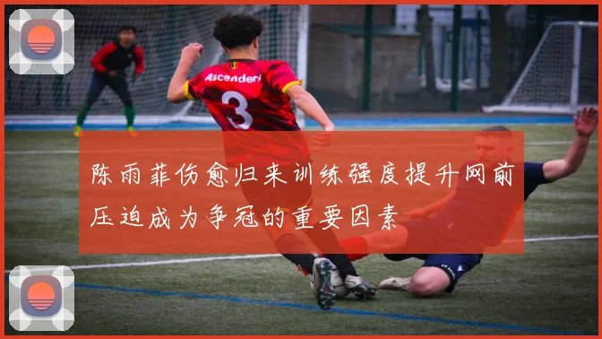 陈雨菲伤愈归来训练强度提升网前压迫成为争冠的重要因素